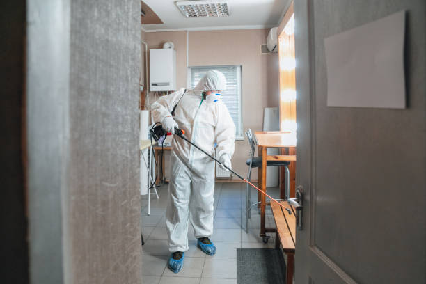 Mold Remediation for Vacation Homes in Somerset, NJ